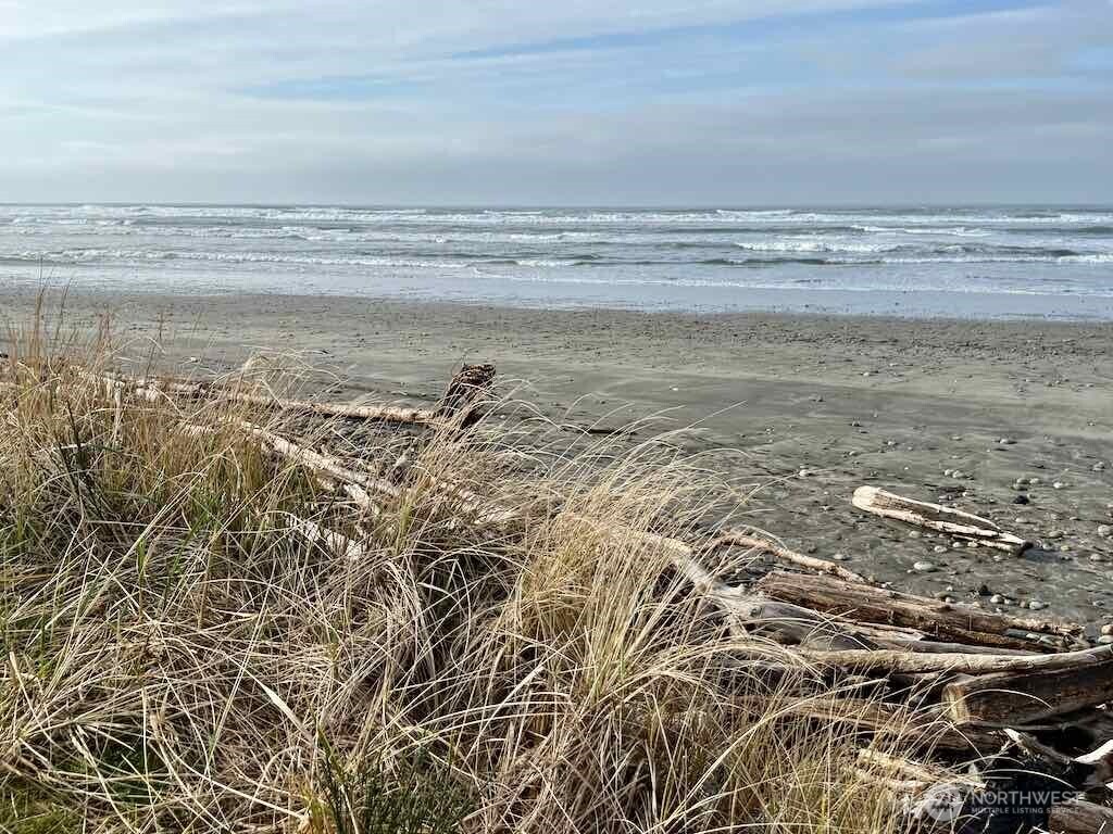 1600 W Ocean Avenue #1311, Westport, WA 98595