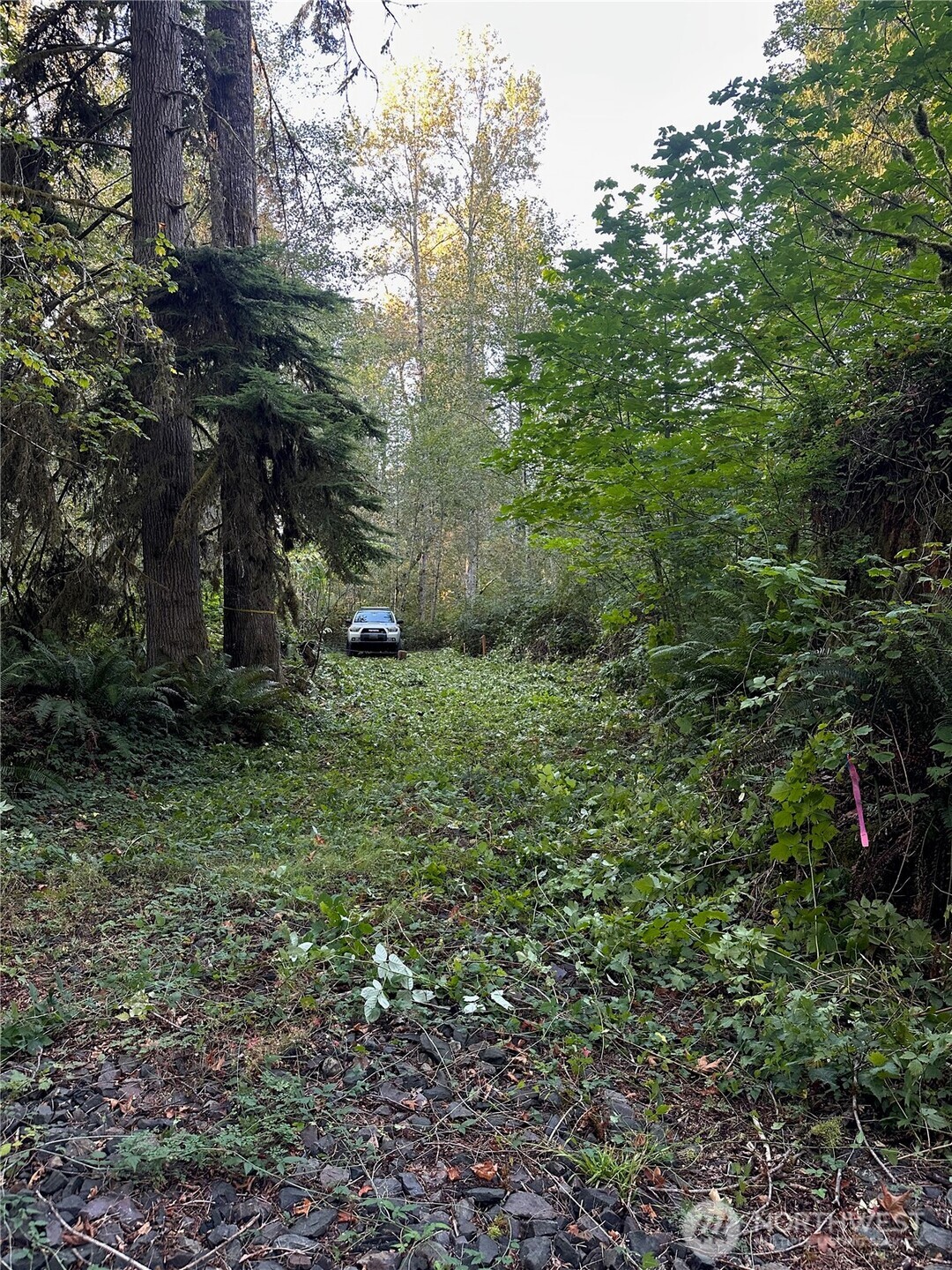 358 XX NE Moss Lake Road , Carnation, WA 98014