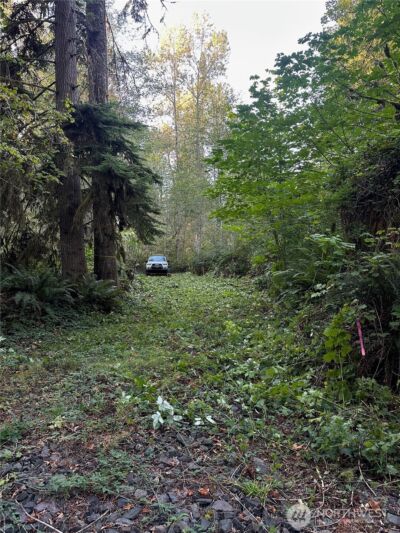 358 XX NE Moss Lake Road , Carnation, WA 98014 - Photo 11