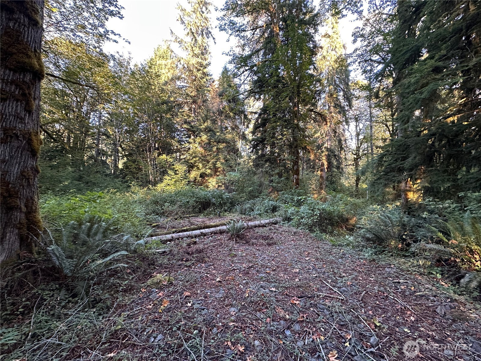 358 XX NE Moss Lake Road , Carnation, WA 98014