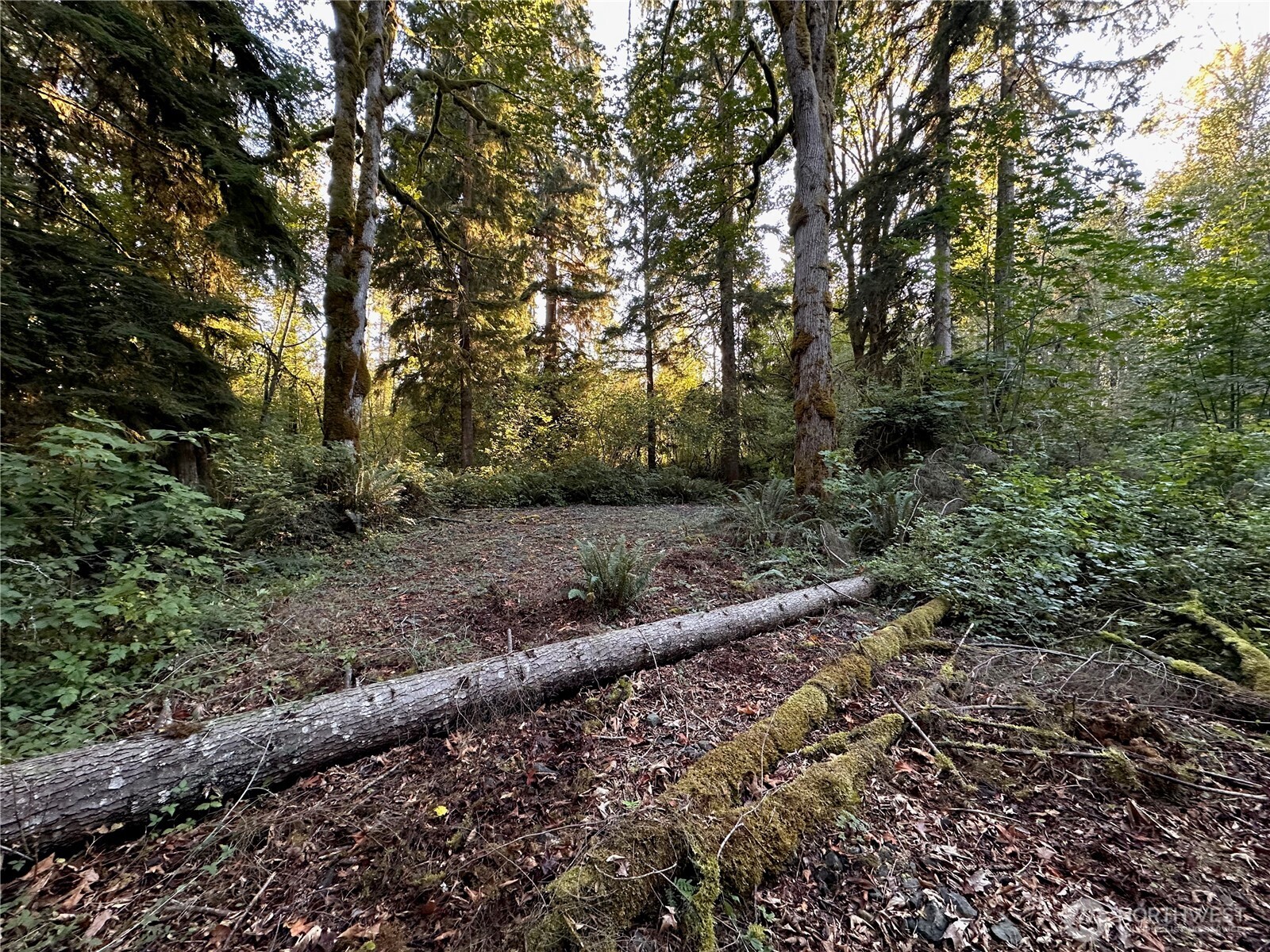 358 XX NE Moss Lake Road , Carnation, WA 98014