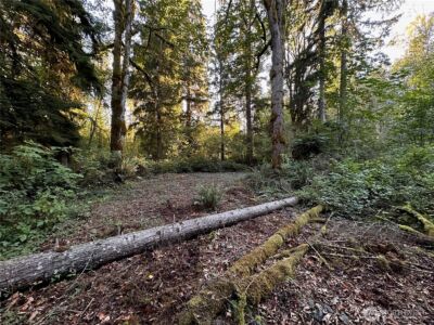 358 XX NE Moss Lake Road , Carnation, WA 98014 - Photo 13