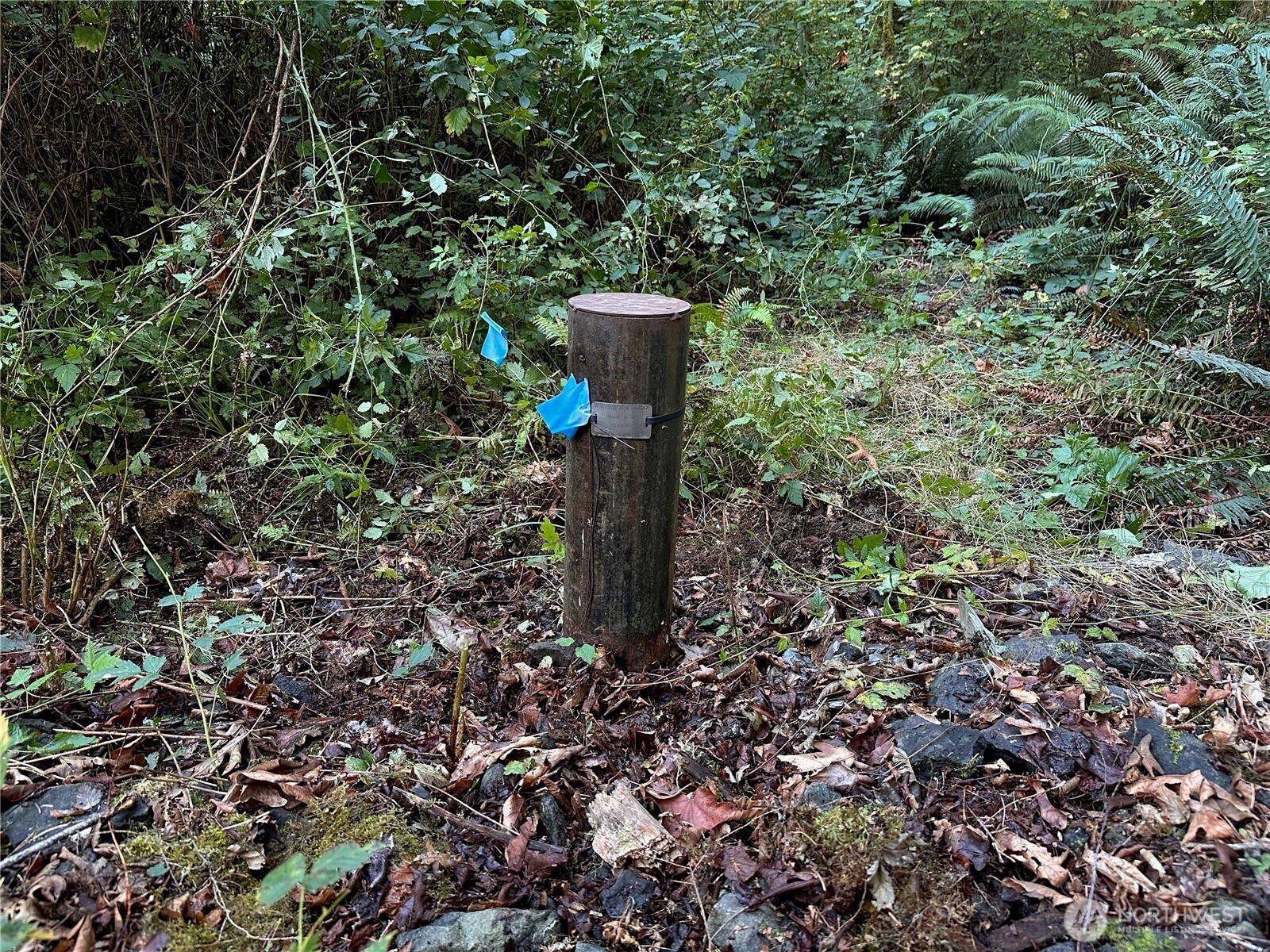 358 XX NE Moss Lake Road , Carnation, WA 98014