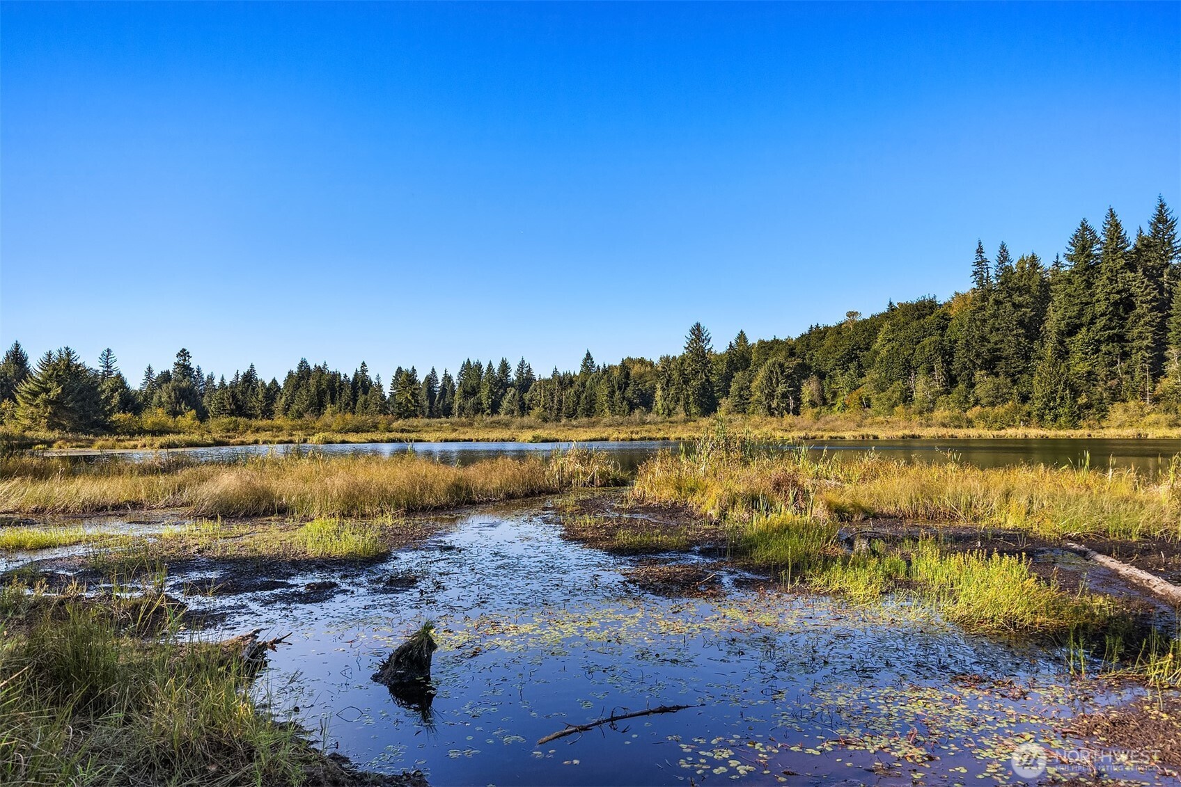 358 XX NE Moss Lake Road , Carnation, WA 98014