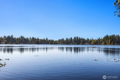 358 XX NE Moss Lake Road , Carnation, WA 98014 - Photo 29