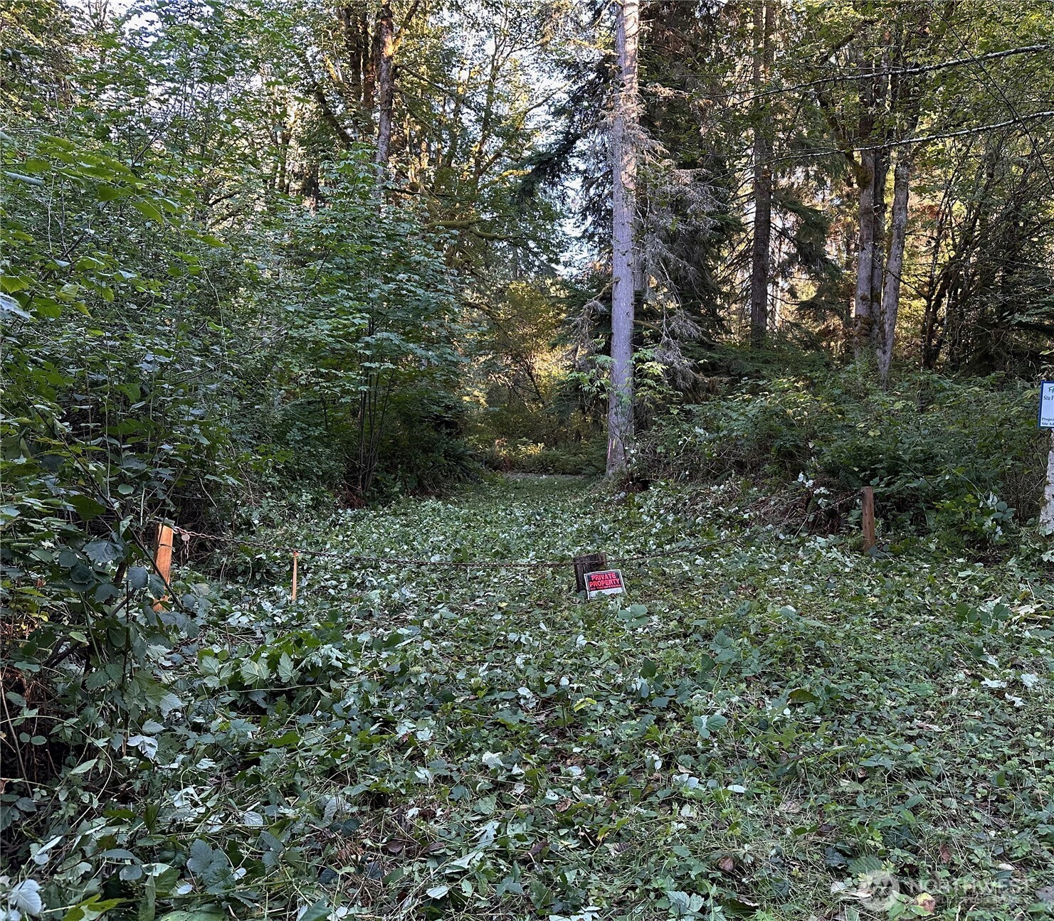 358 XX NE Moss Lake Road , Carnation, WA 98014