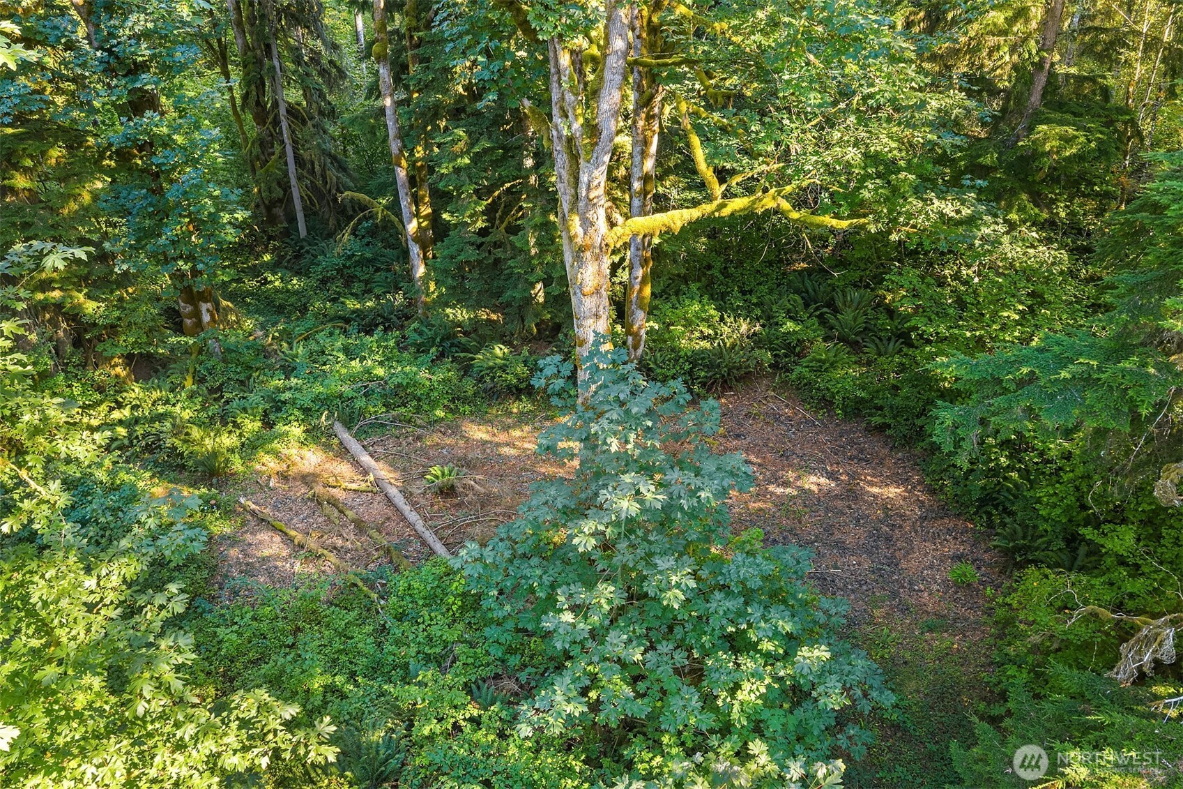 358 XX NE Moss Lake Road , Carnation, WA 98014