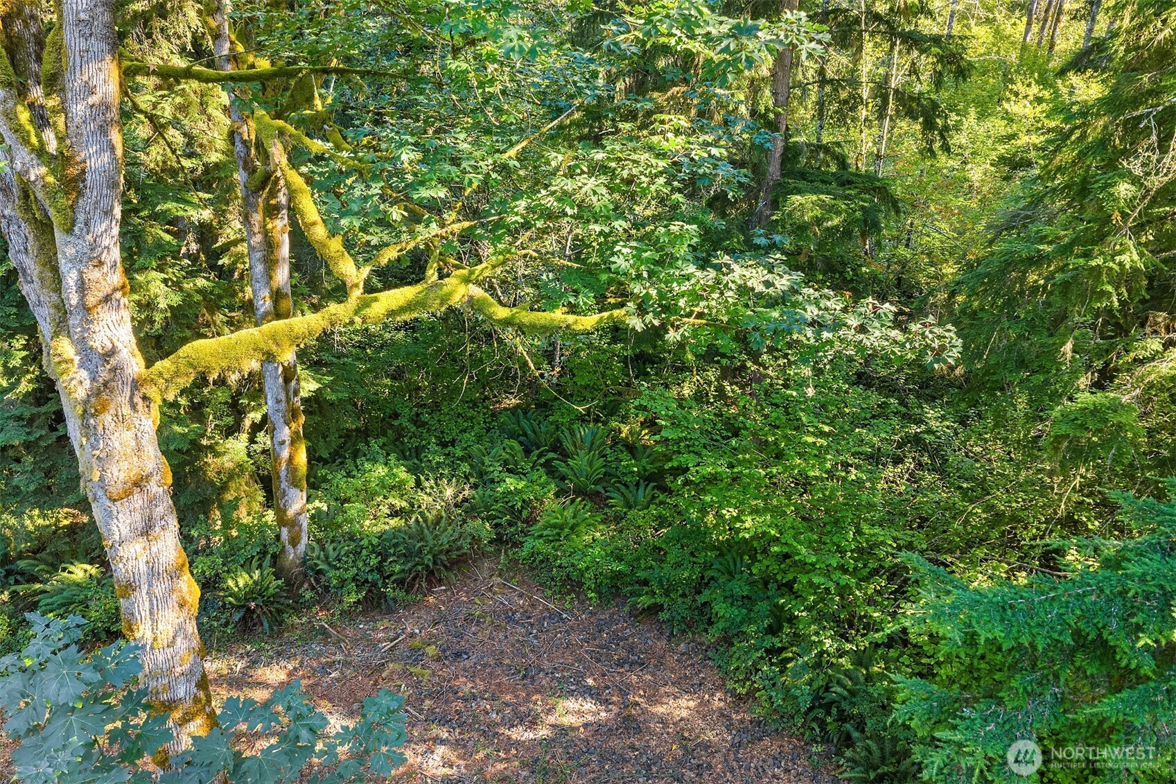 358 XX NE Moss Lake Road , Carnation, WA 98014