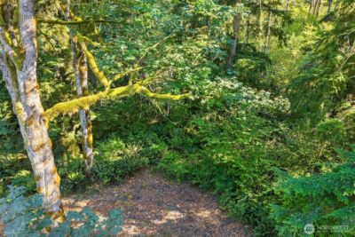 358 XX NE Moss Lake Road , Carnation, WA 98014 - Photo 10