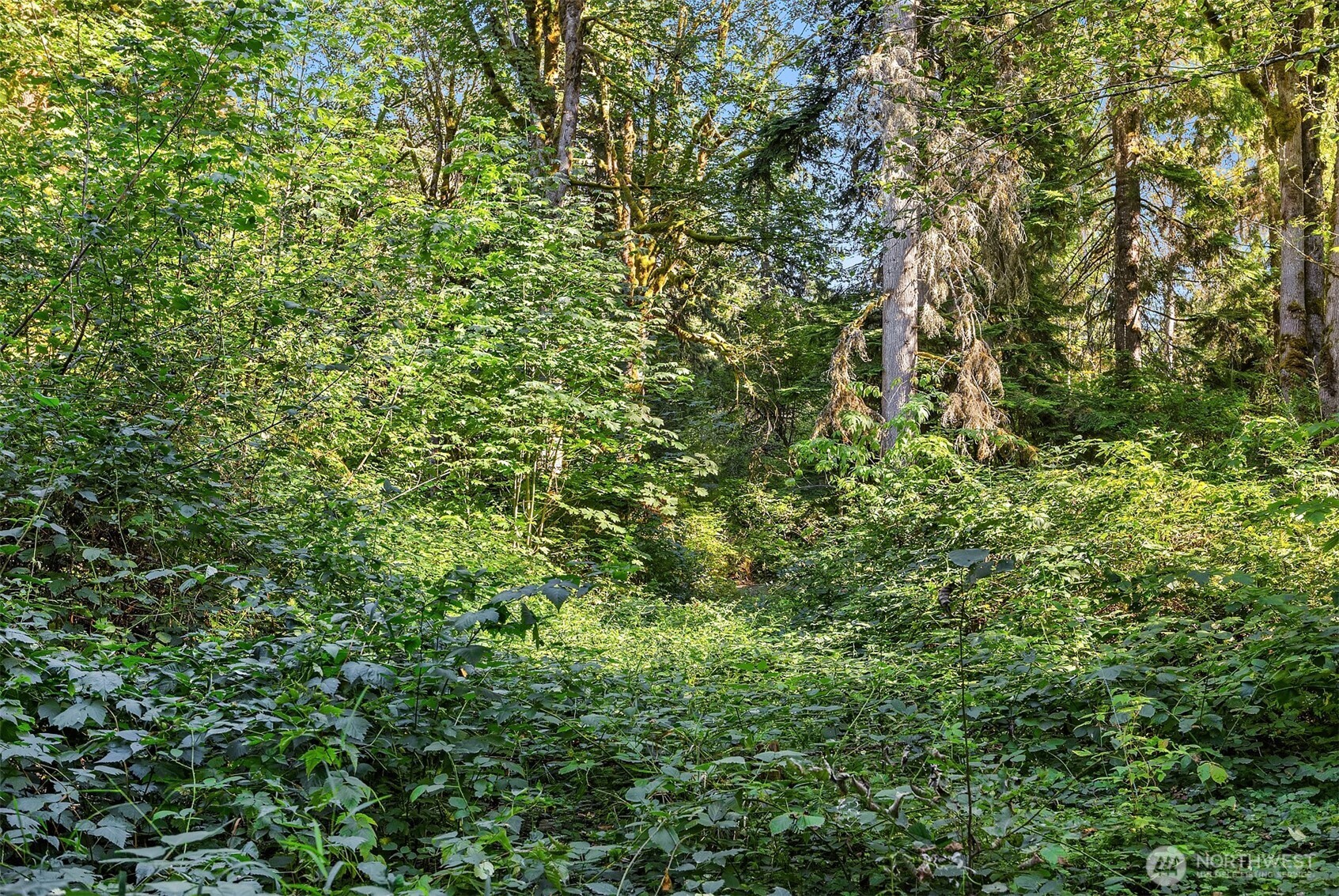 358 XX NE Moss Lake Road , Carnation, WA 98014