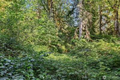 358 XX NE Moss Lake Road , Carnation, WA 98014 - Photo 2