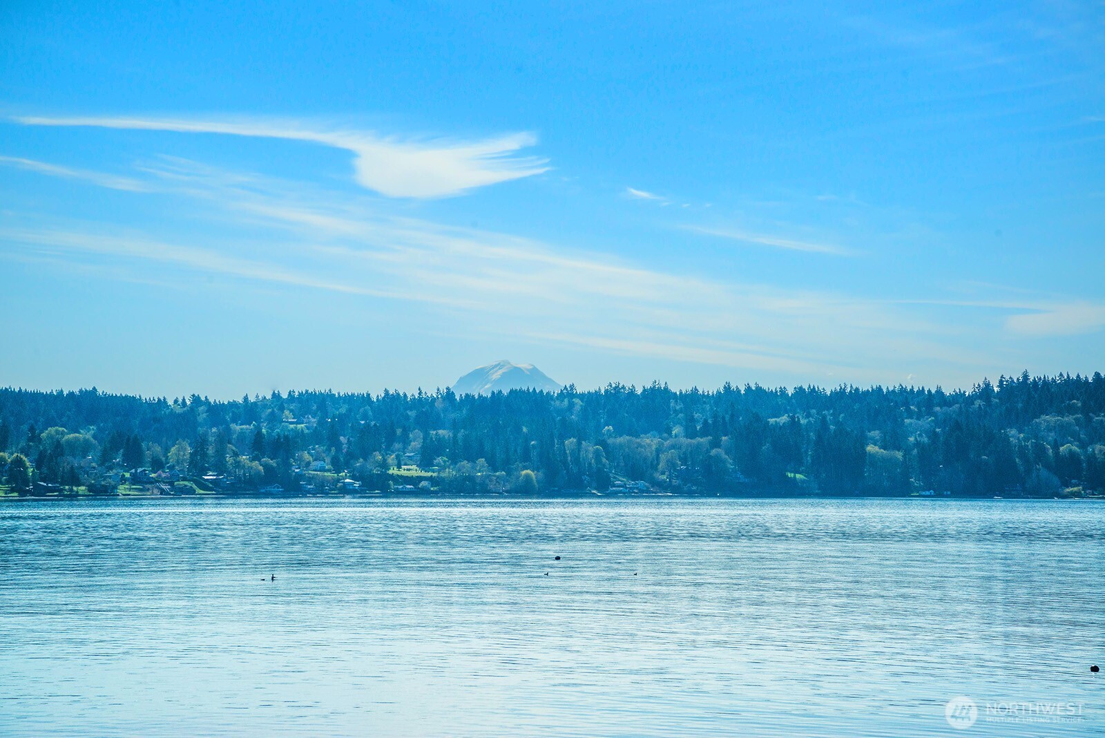 11613 SW Shawnee , Vashon, WA 98070