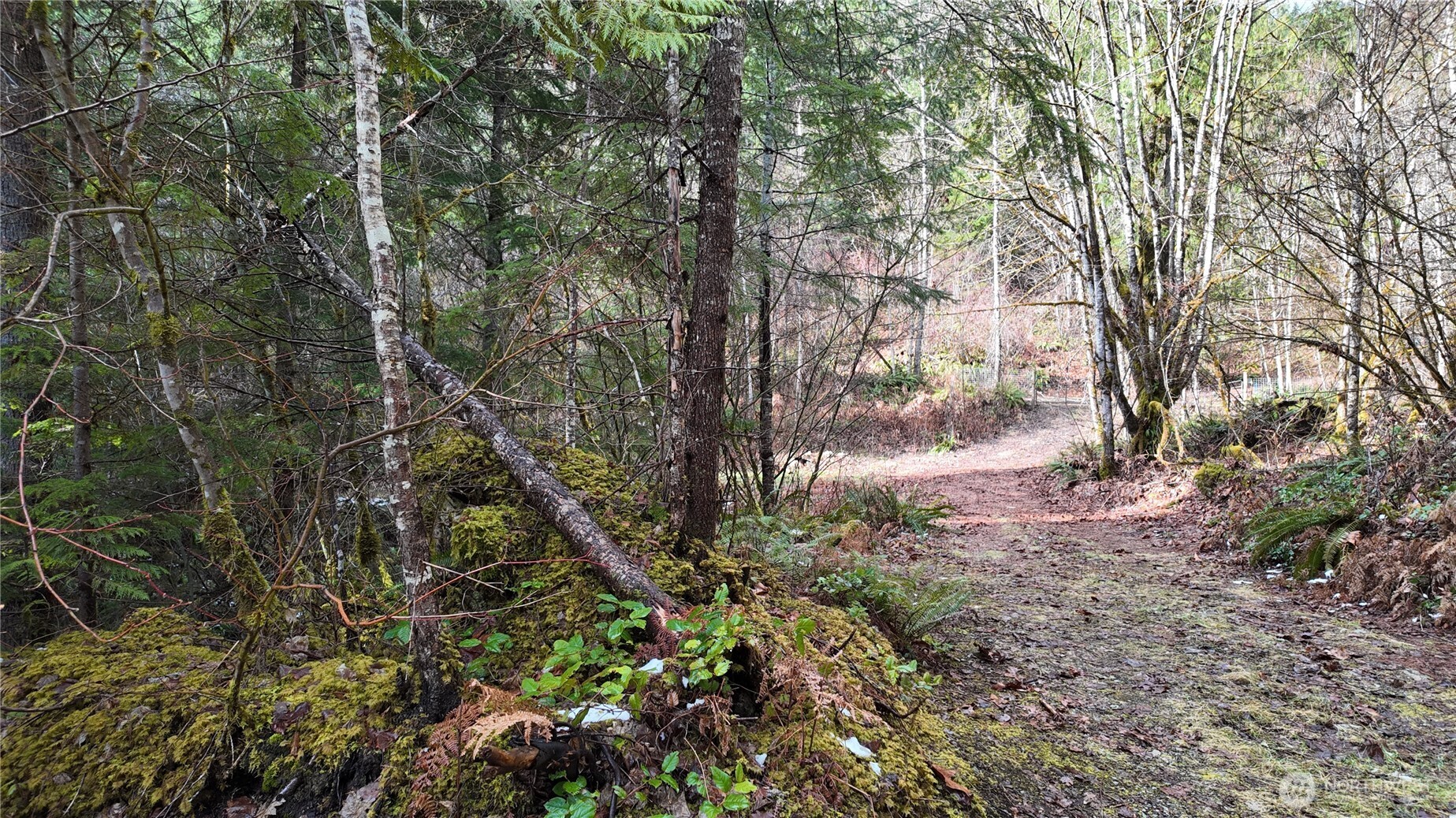64084 Cascade River Rd #D1-204, Marblemount, WA 98267