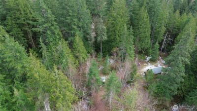64084 Cascade River Rd #D1-204, Marblemount, WA 98267 - Photo 19