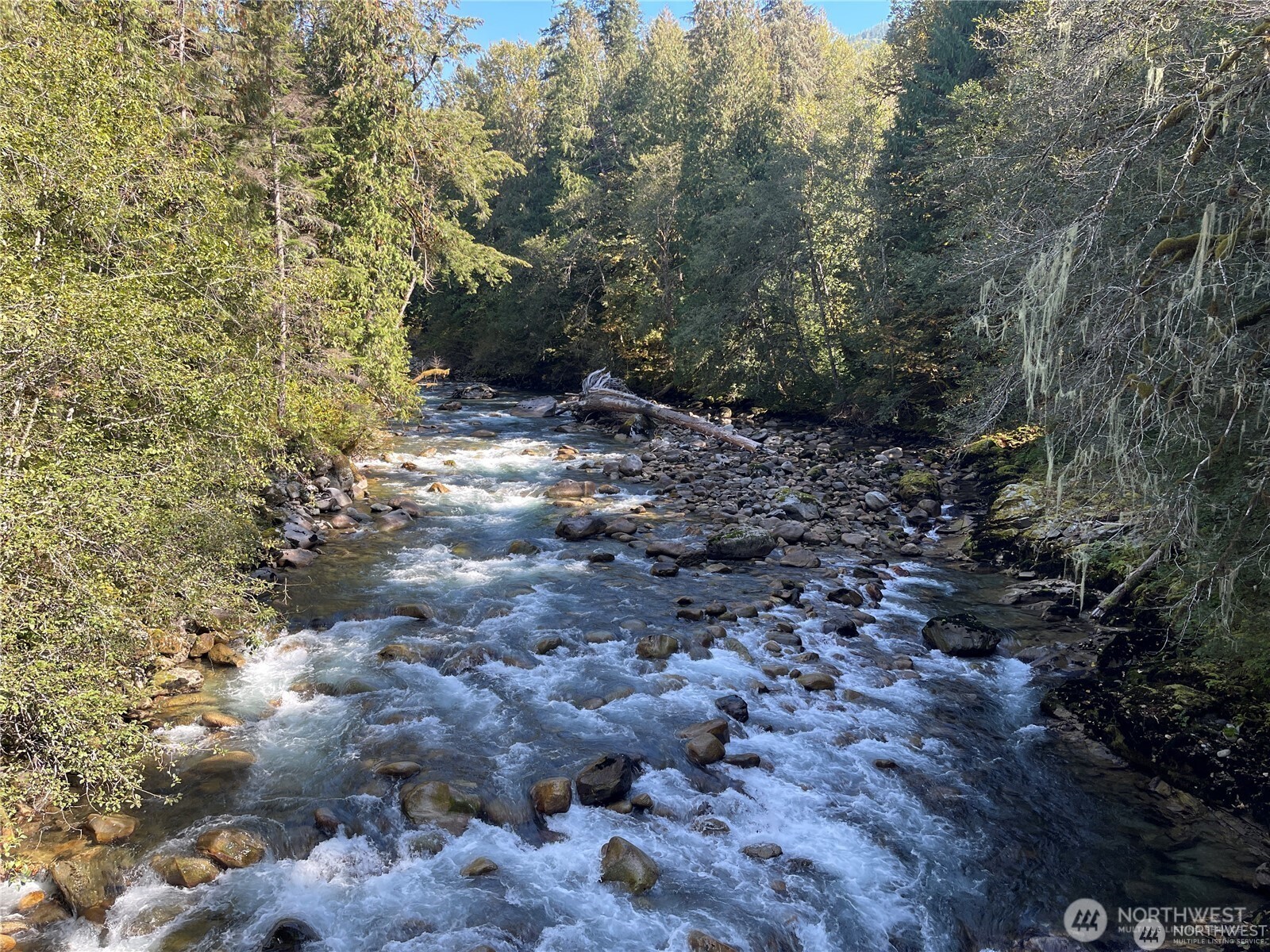 64084 Cascade River Rd #D1-204, Marblemount, WA 98267