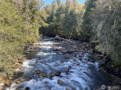 64084 Cascade River Rd #D1-204, Marblemount, WA 98267 - Photo 2