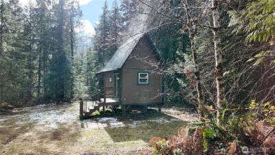 64084 Cascade River Rd #D1-204, Marblemount, WA 98267 - Photo 6