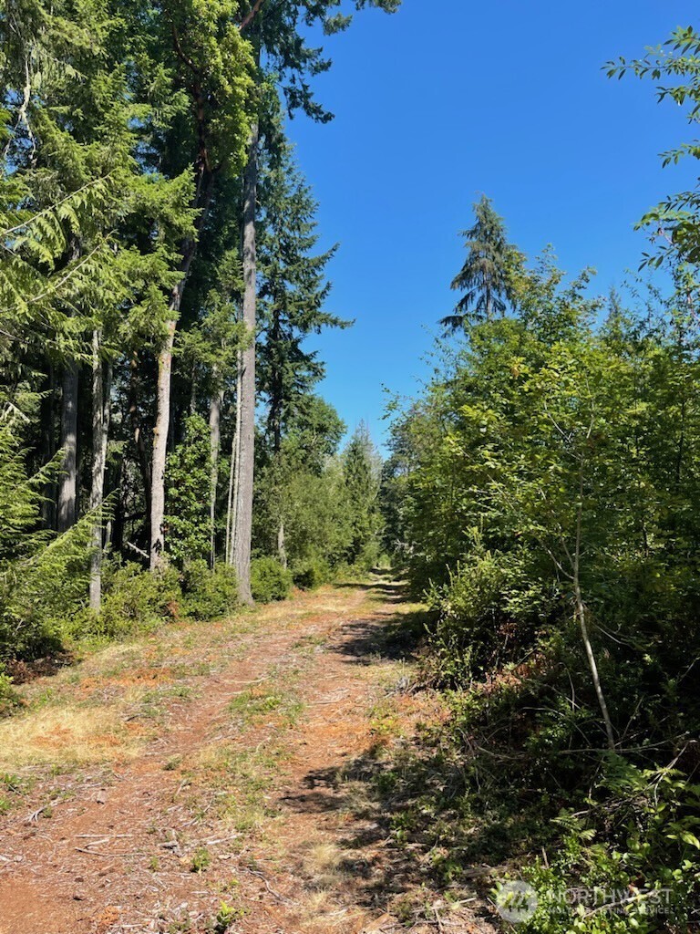 411 208th Avenue NW, Lakebay, WA 98349