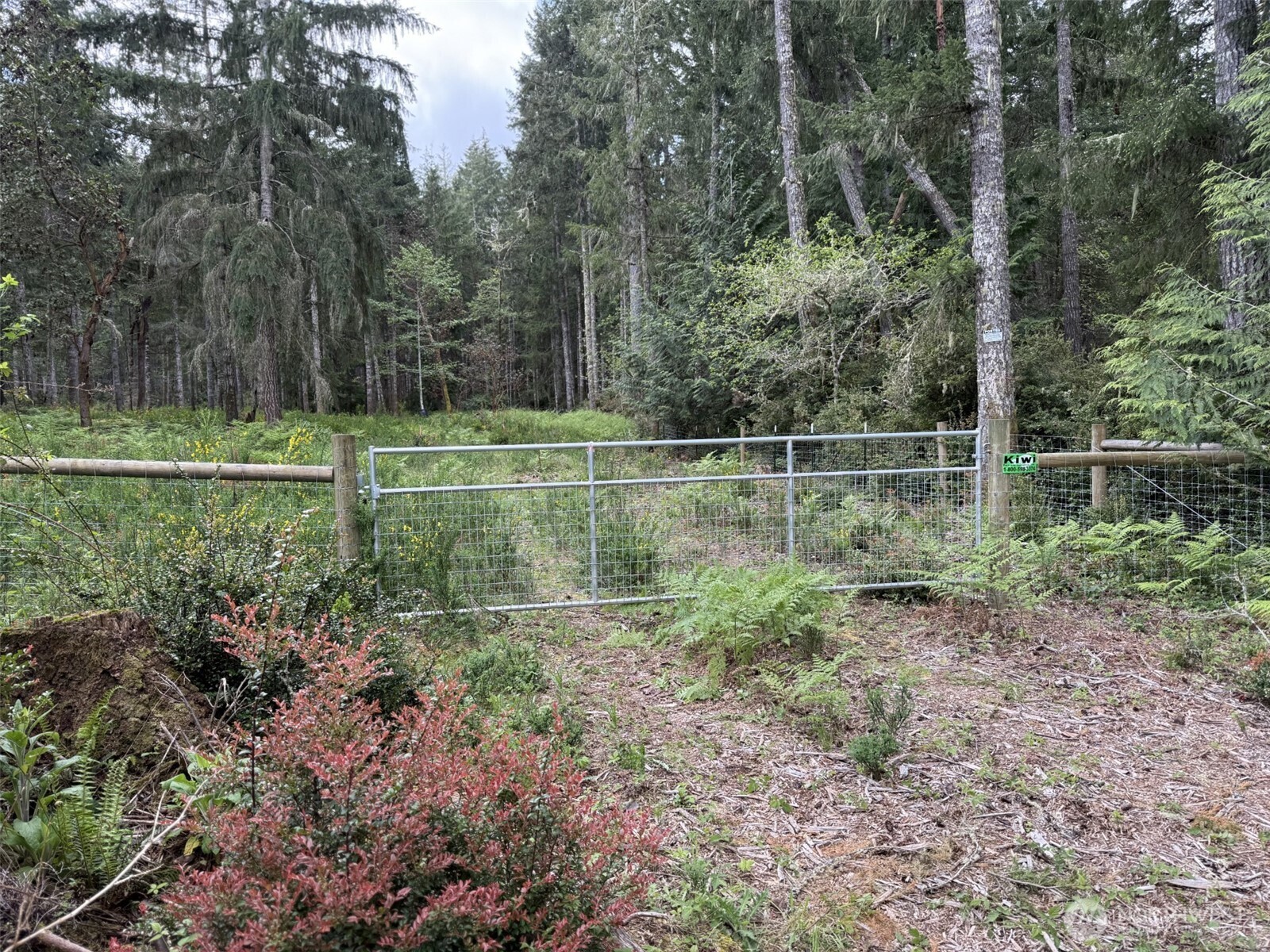 411 208th Avenue NW, Lakebay, WA 98349