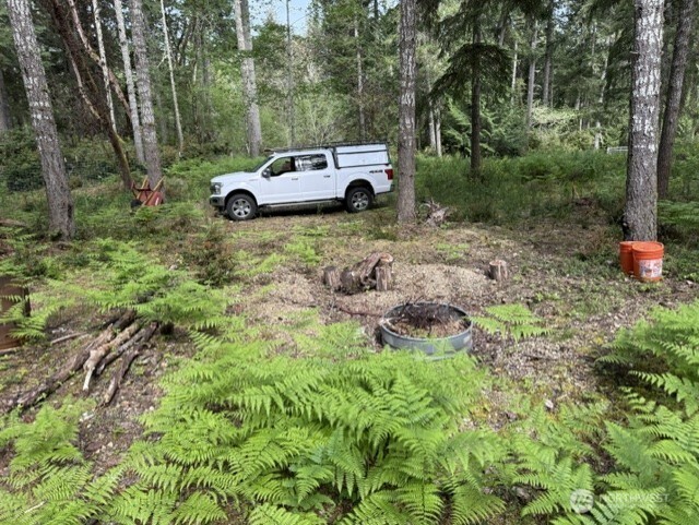 411 208th Avenue NW, Lakebay, WA 98349