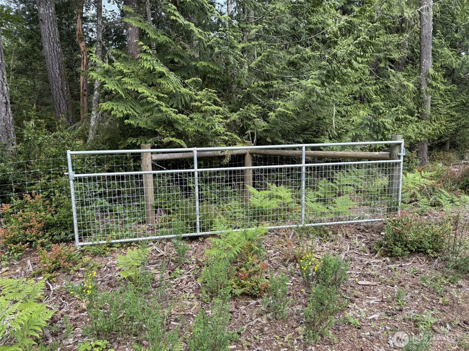 411 208th Avenue NW, Lakebay, WA 98349