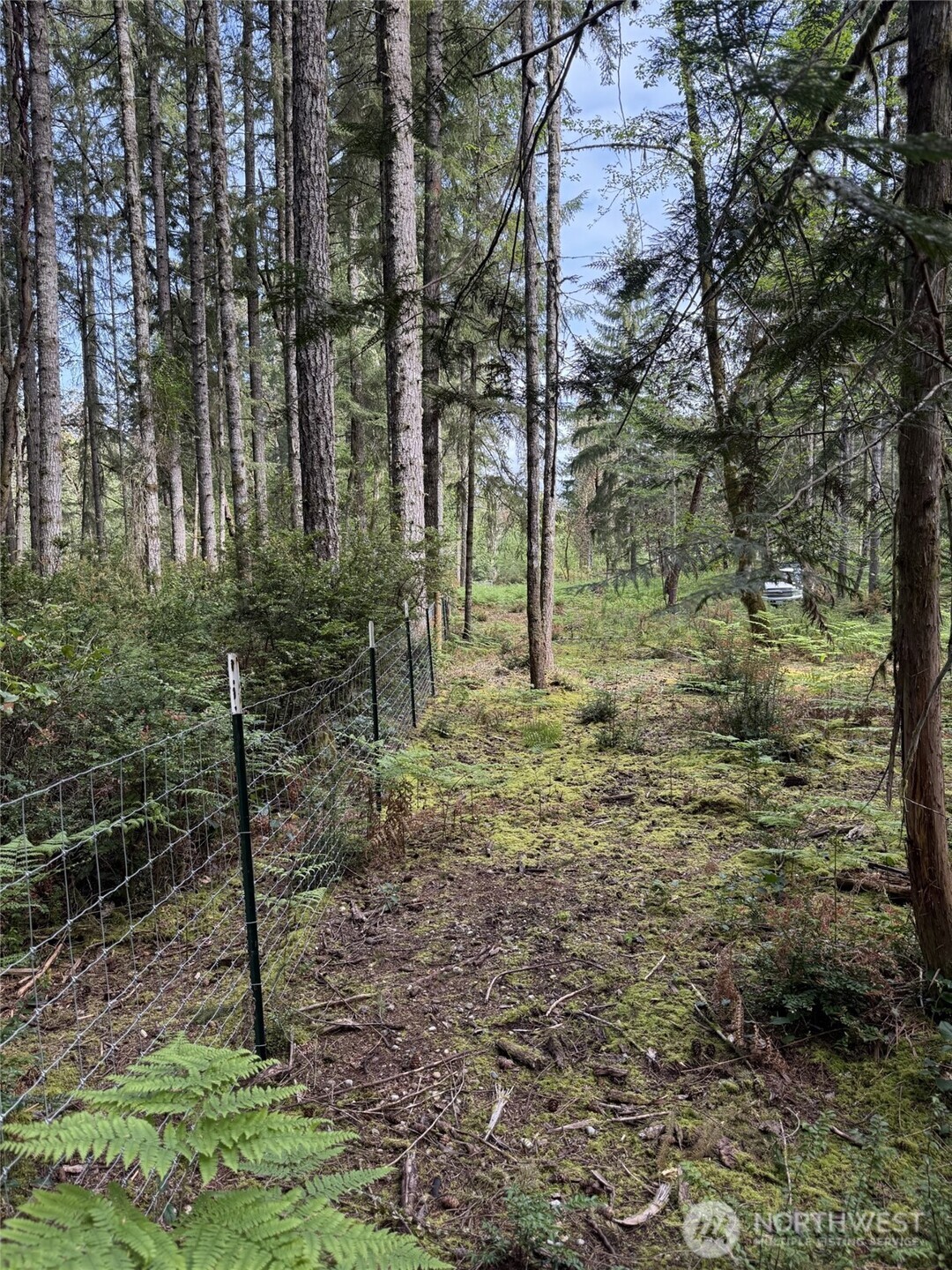 411 208th Avenue NW, Lakebay, WA 98349