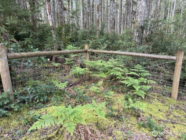 411 208th Avenue NW, Lakebay, WA 98349