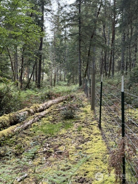 411 208th Avenue NW, Lakebay, WA 98349