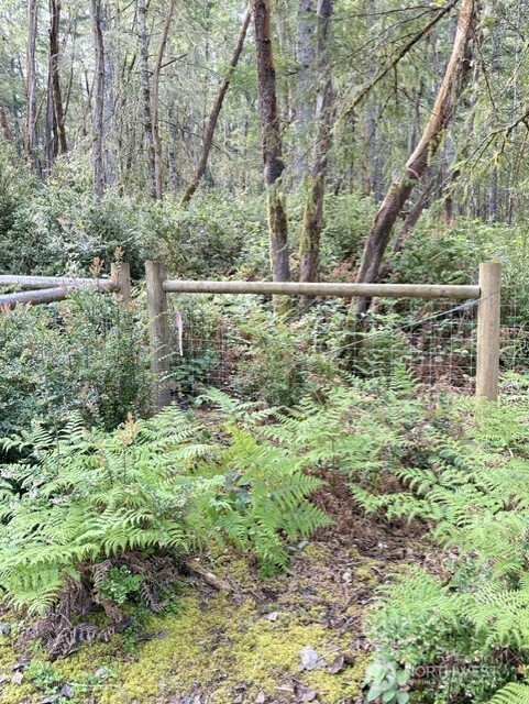 411 208th Avenue NW, Lakebay, WA 98349