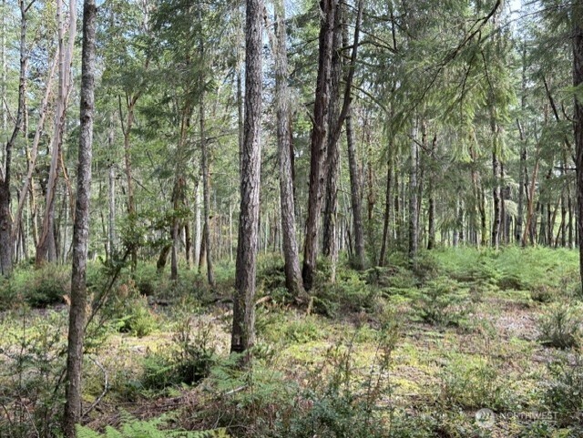 411 208th Avenue NW, Lakebay, WA 98349