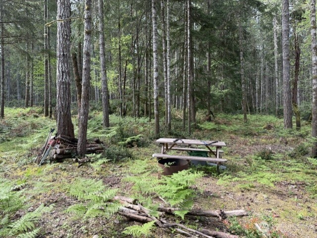 411 208th Avenue NW, Lakebay, WA 98349