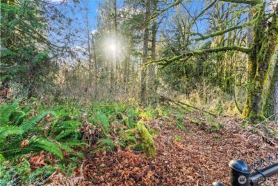 2141 107th Lane SE, Olympia, WA 98501 - Photo 35