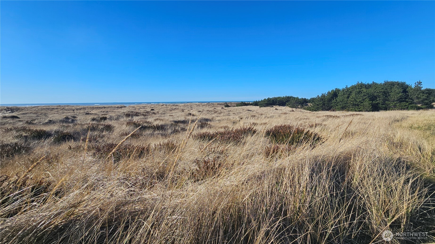 28255 I Lane , Ocean Park, WA 98640