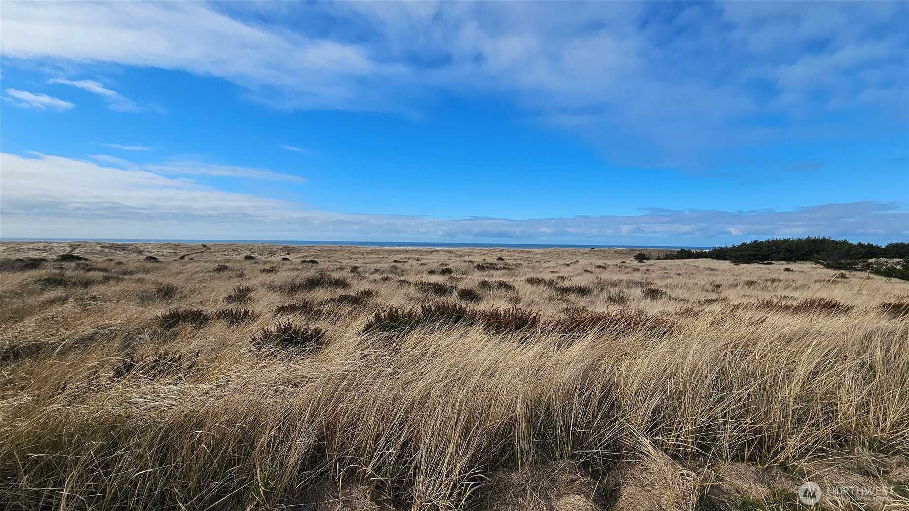 28255 I Lane , Ocean Park, WA 98640