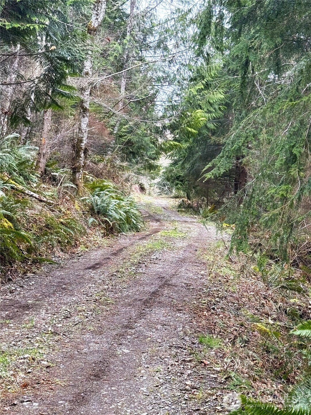 71 Elkhorn Lane , Quilcene, WA 98376