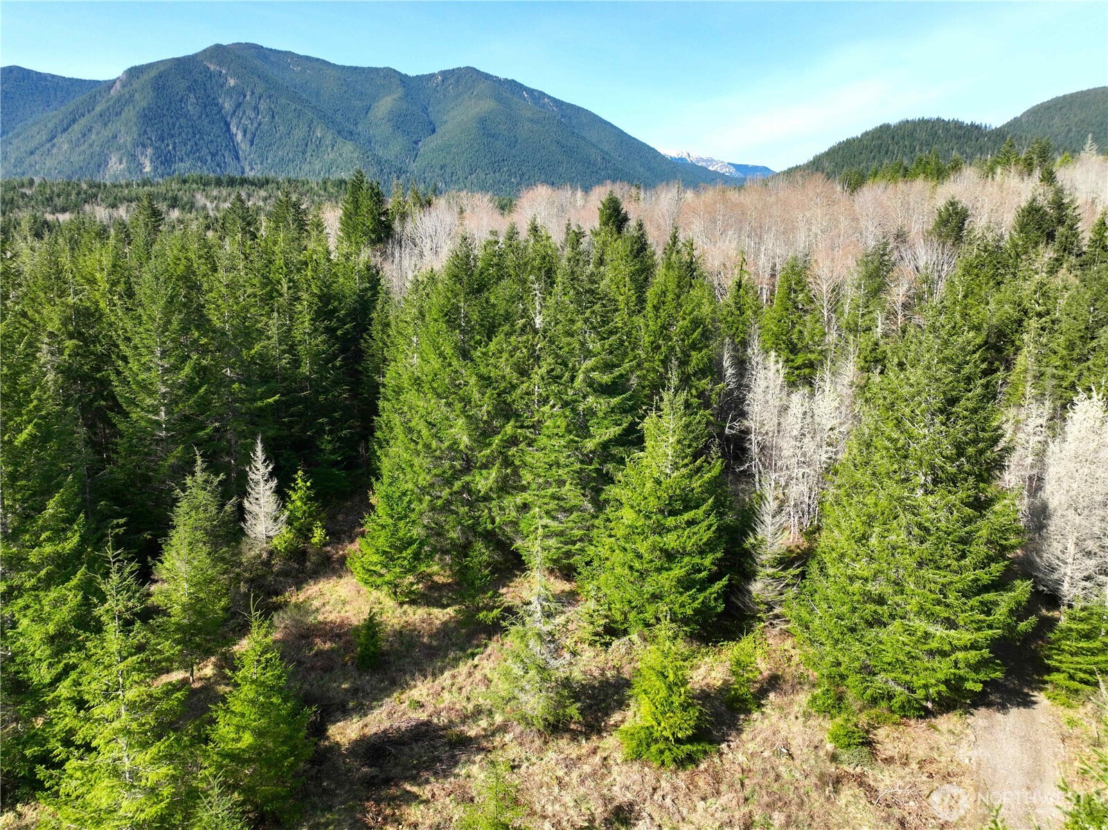 71 Elkhorn Lane , Quilcene, WA 98376