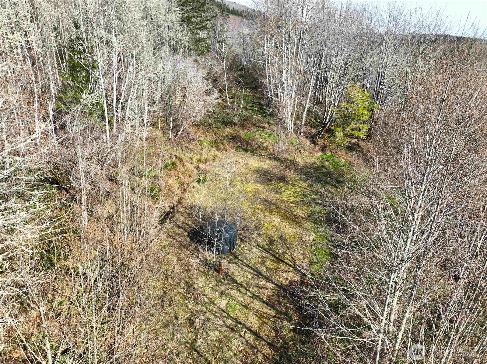 71 Elkhorn Lane , Quilcene, WA 98376