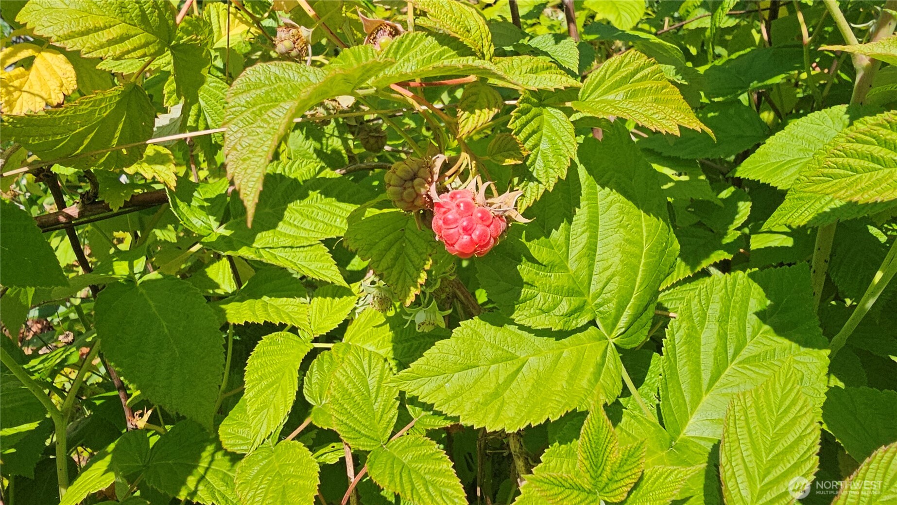 1402 22nd Street NE #252, Auburn, WA 98002