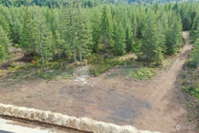 0 Lot 6 Div 1 Raven Lane , Elma, WA 98541 - Photo 2