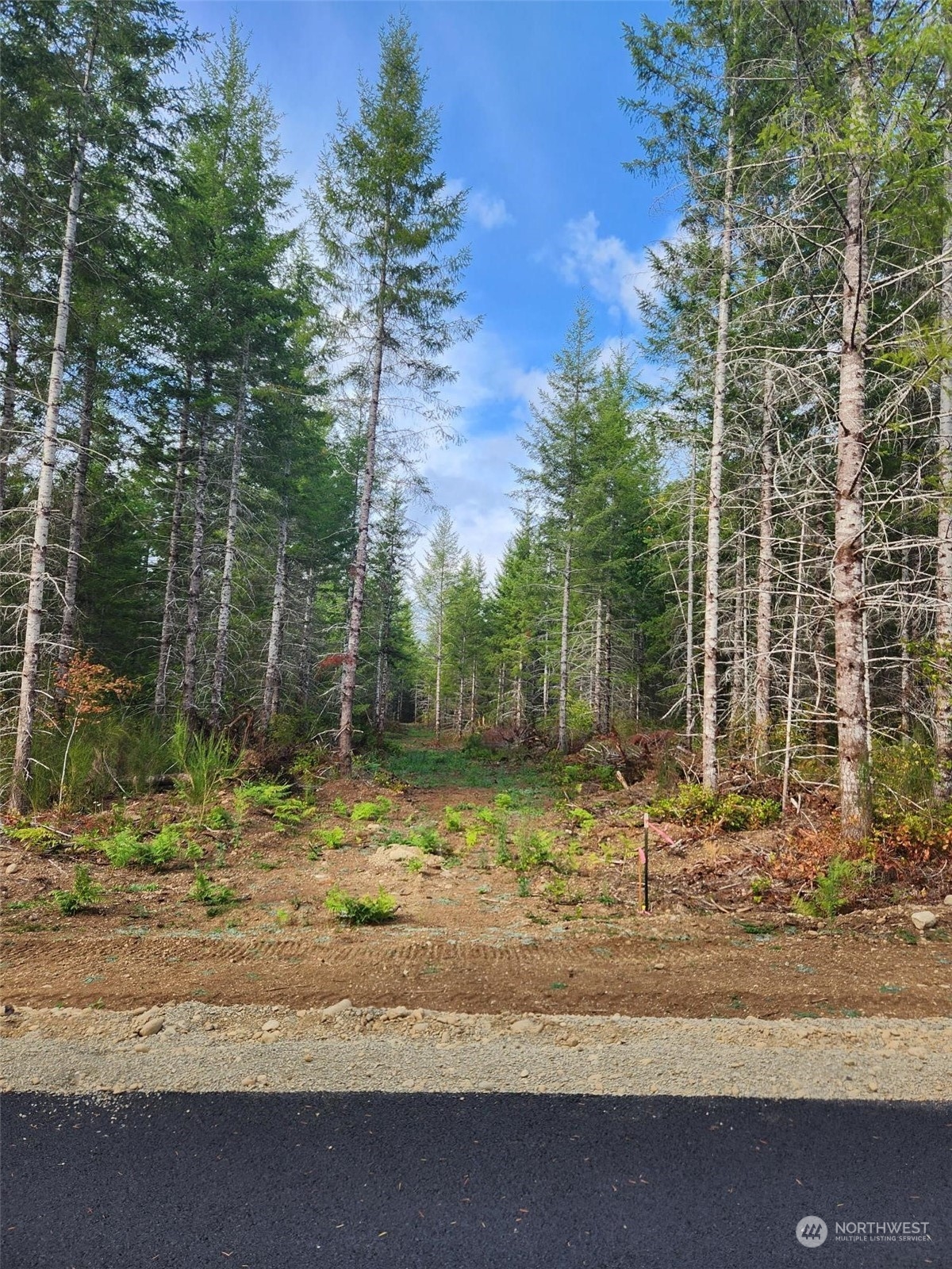 0 Lot 6 Div 1 Raven Lane , Elma, WA 98541