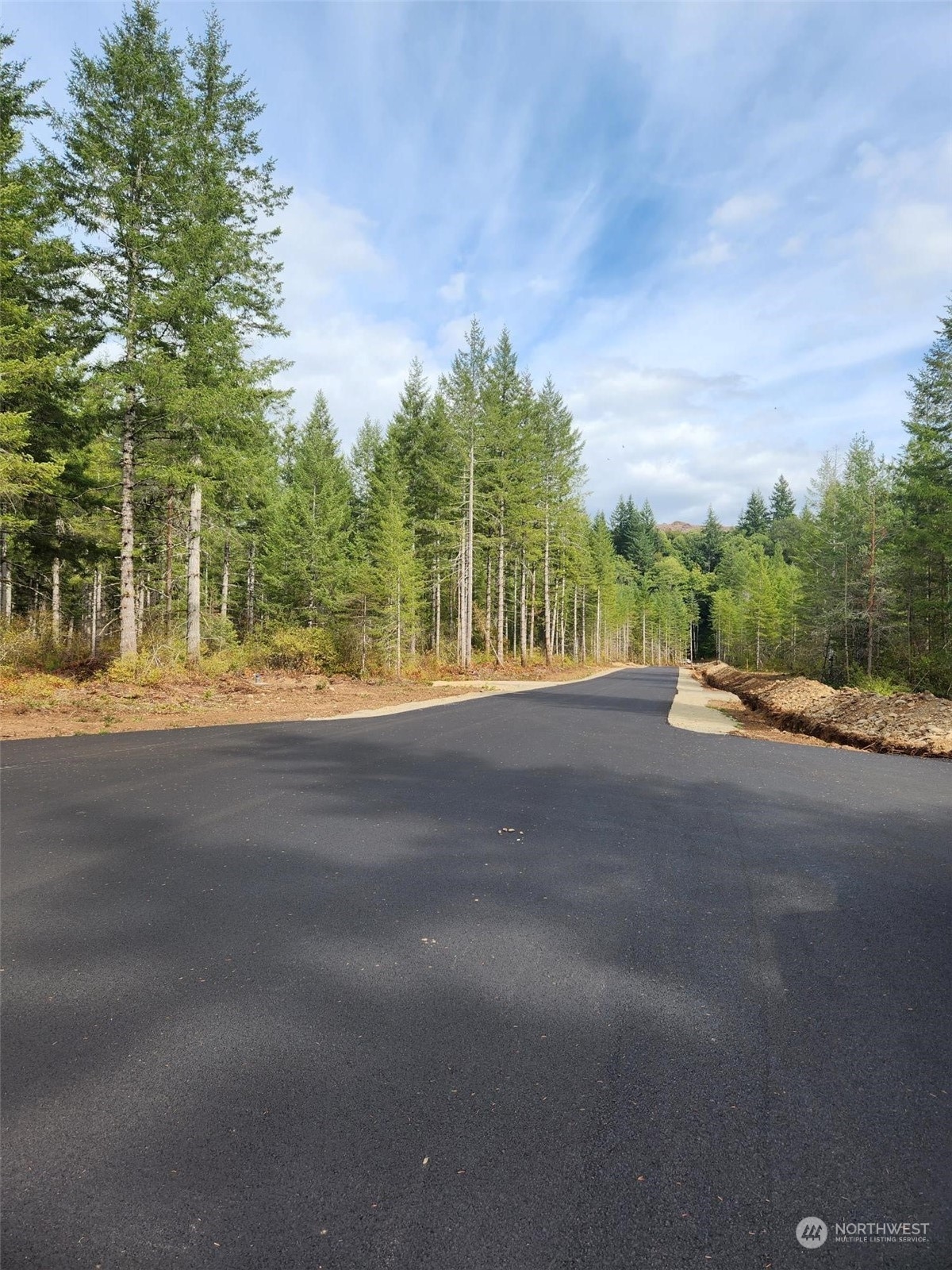 0 Lot 6 Div 1 Raven Lane , Elma, WA 98541