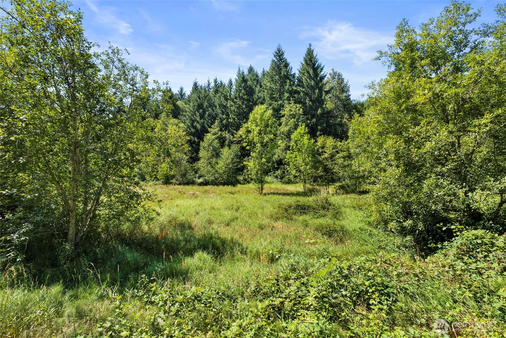 179 Halliday Road , Centralia, WA 98531