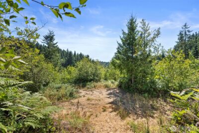 179 Halliday Road , Centralia, WA 98531 - Photo 14