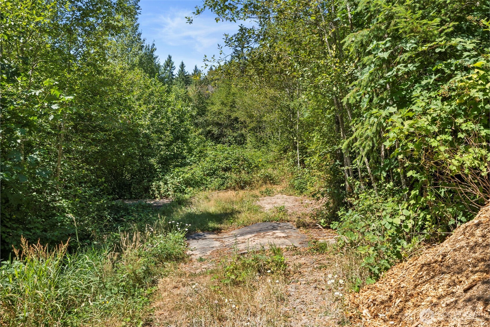 179 Halliday Road , Centralia, WA 98531