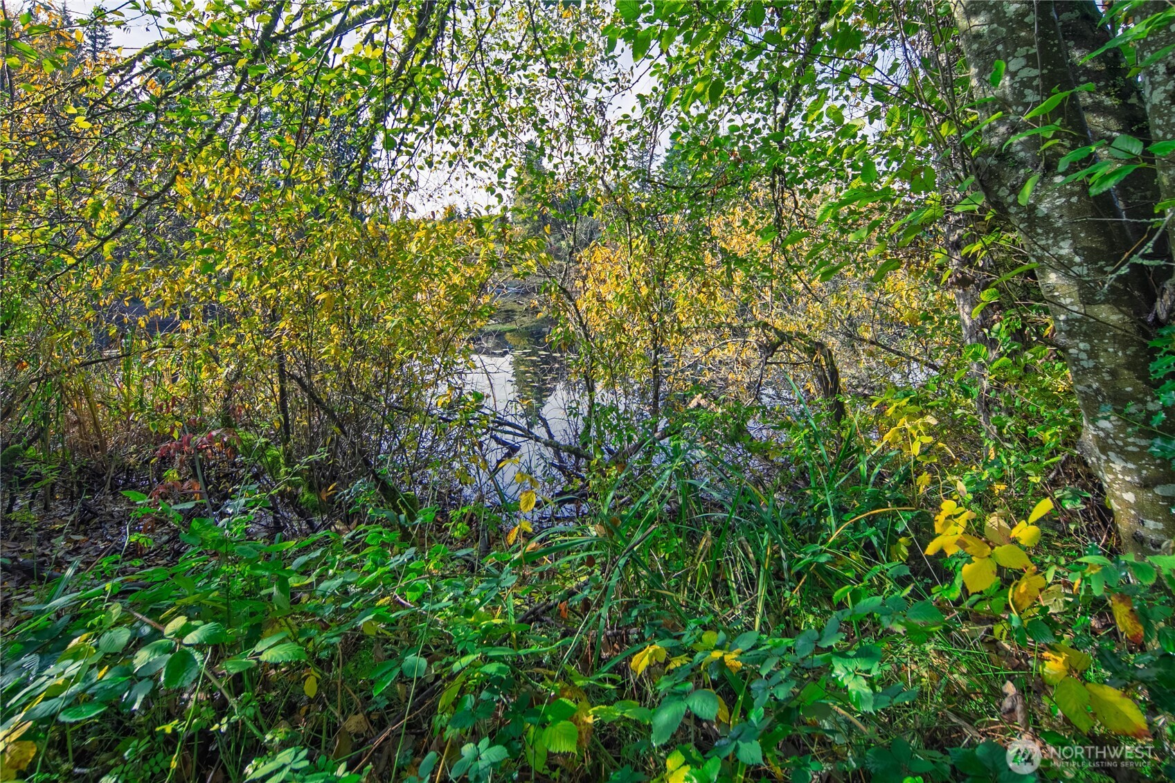 33401 E Lake Holm Drive SE, Auburn, WA 98092