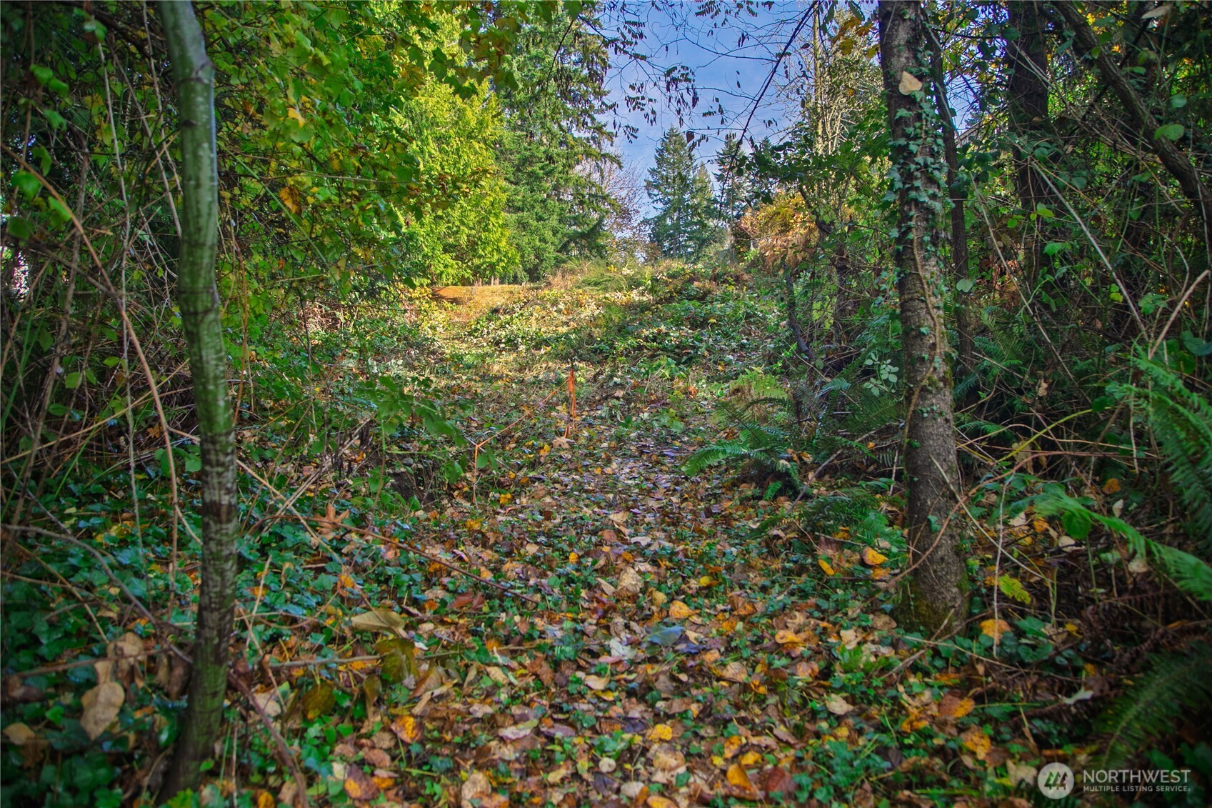 33401 E Lake Holm Drive SE, Auburn, WA 98092