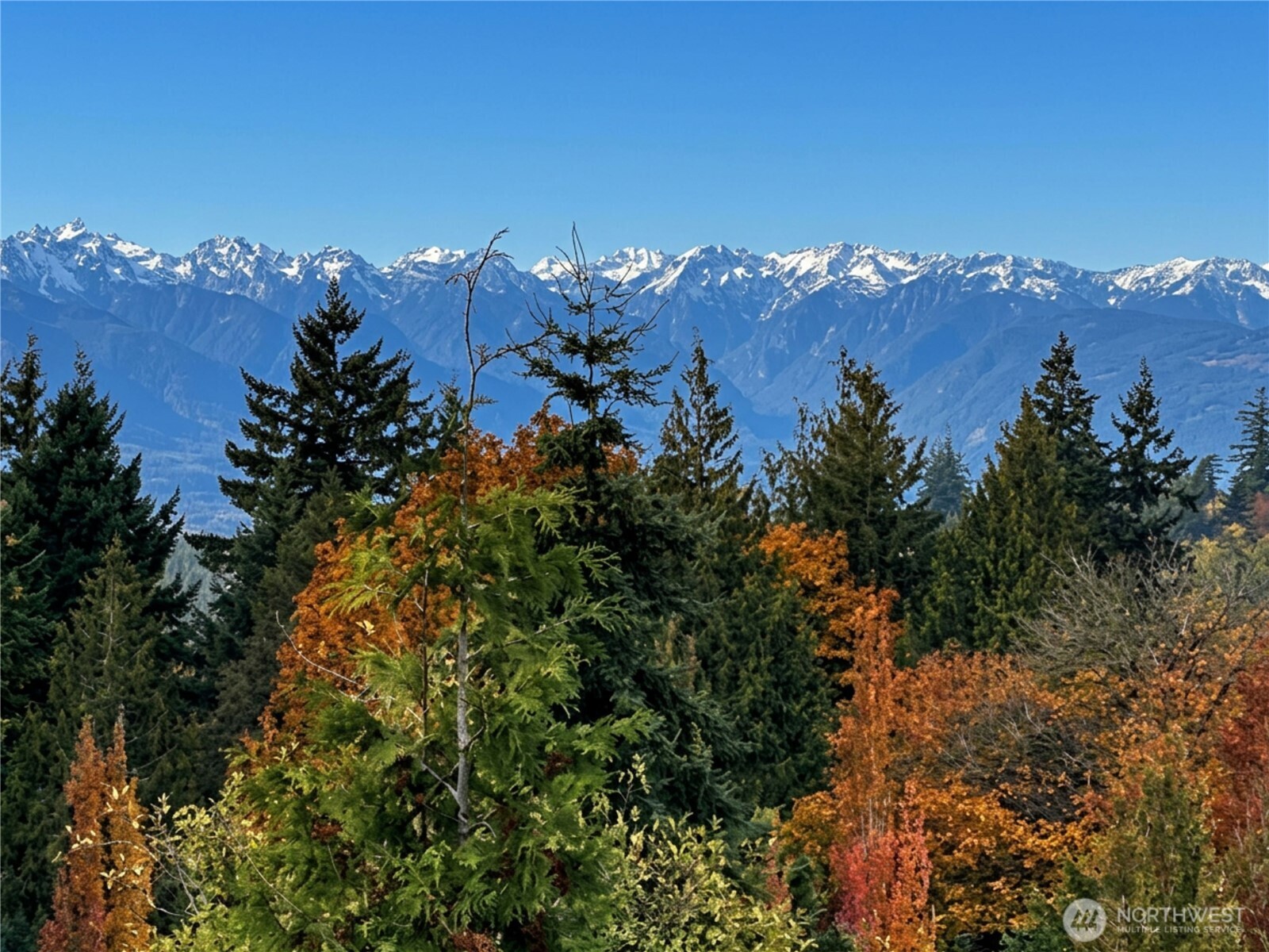 13348 186th Avenue SE, Monroe, WA 98272