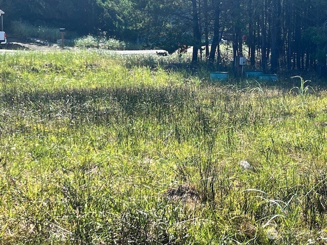 30305 I Street , Ocean Park, WA 98640