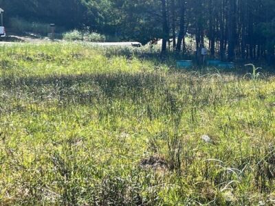 30305 I Street , Ocean Park, WA 98640 - Photo 2