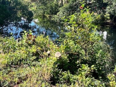 30305 I Street , Ocean Park, WA 98640 - Photo 6